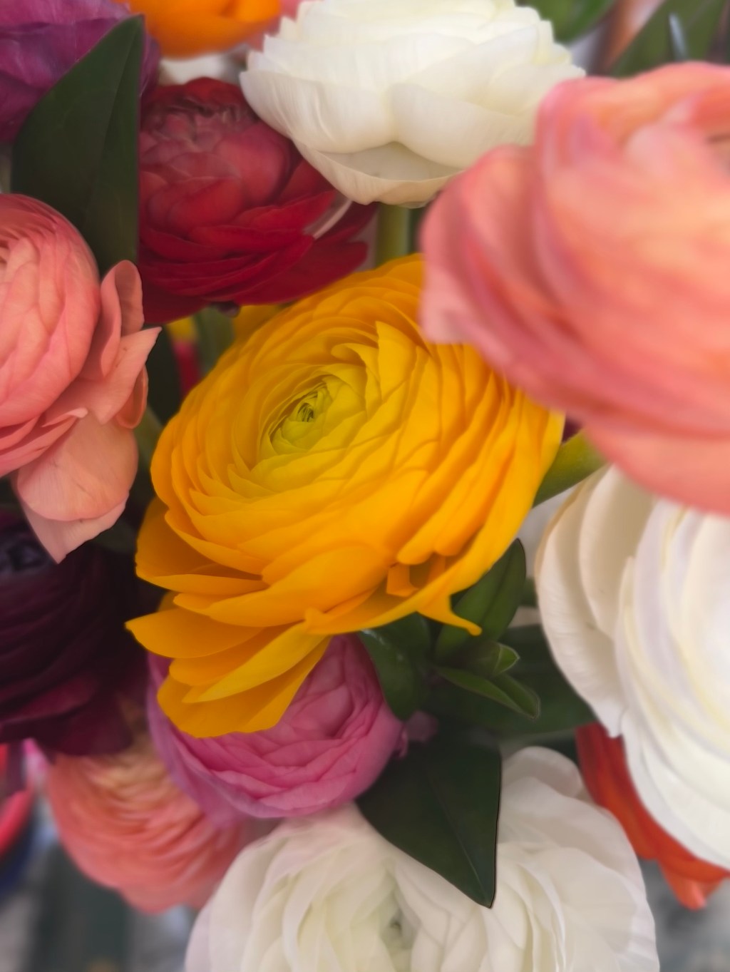 I’m 33 and still figuring this&nbsp;out.