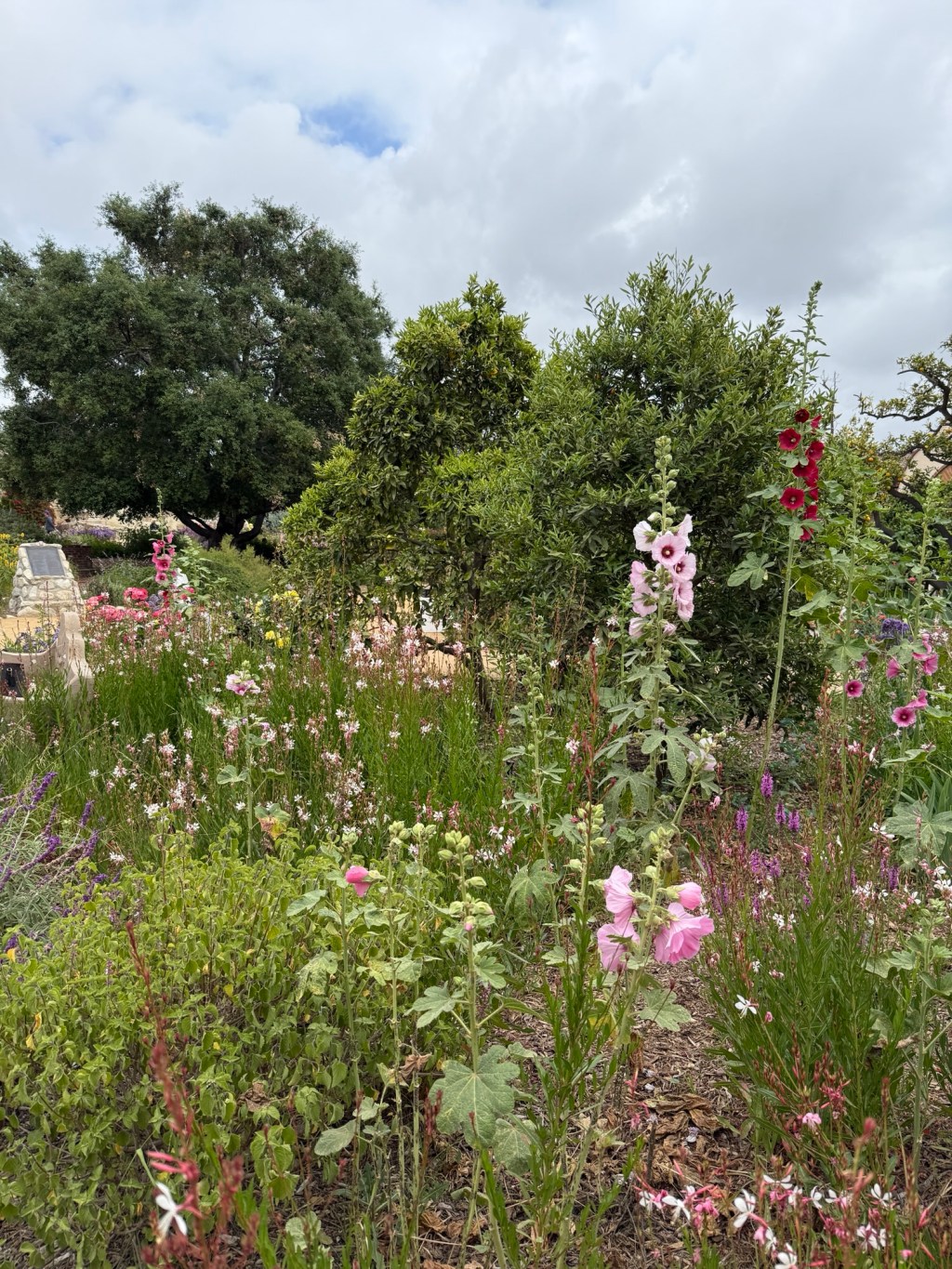 Life Since the&nbsp;Move