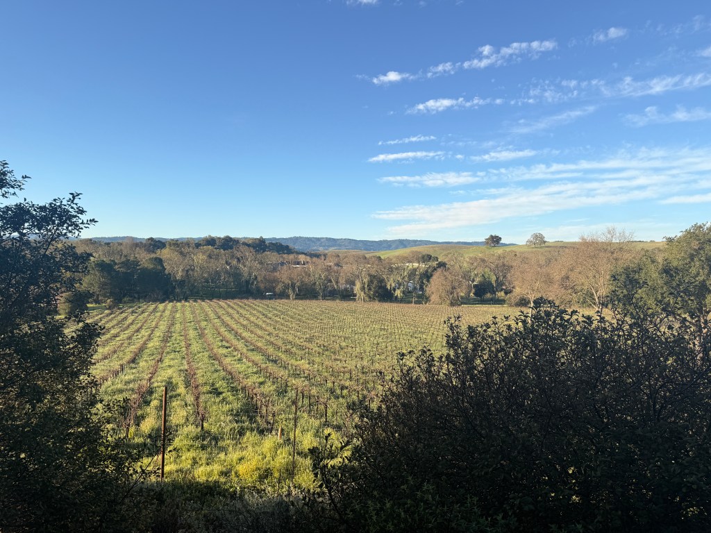 I went on my first girls&nbsp;trip